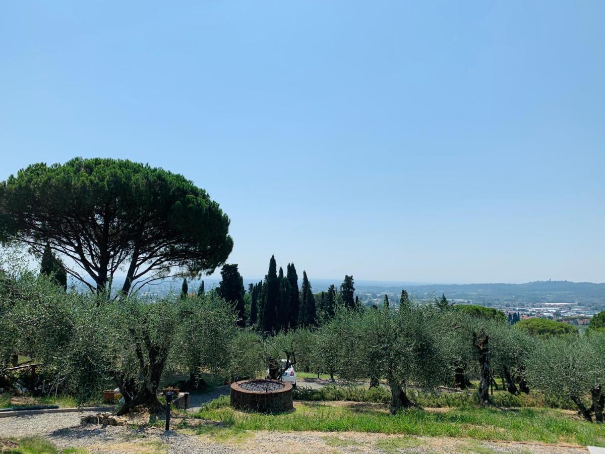 Cozy Tuscany Apartment With View 佩夏 外观 照片